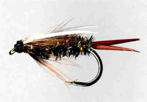 Prince Nymph