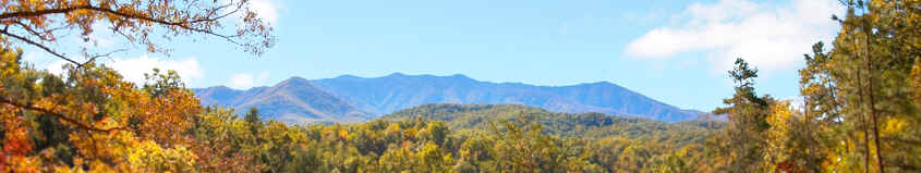 gatlinburg webcam