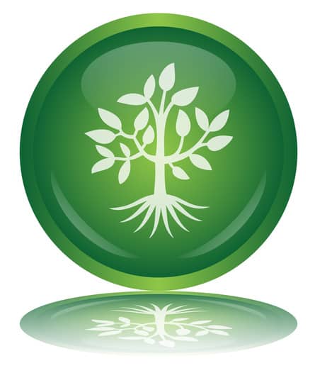 Gatlinburg Goes Green