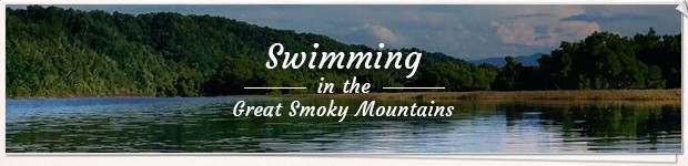 Swimming in the Great Smoky Mountains