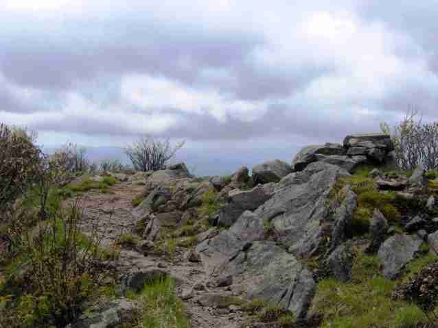 RockyTop/Thunderhead Mountain