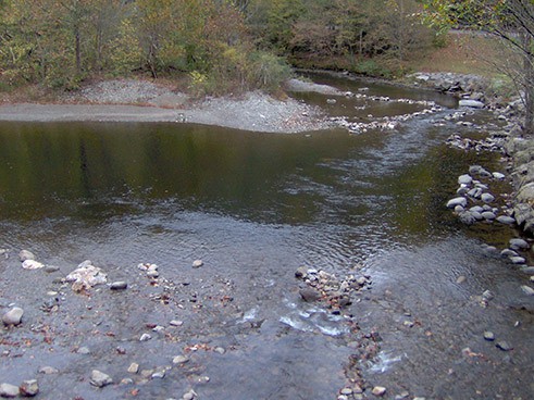 The Townsend Y Swimming Area