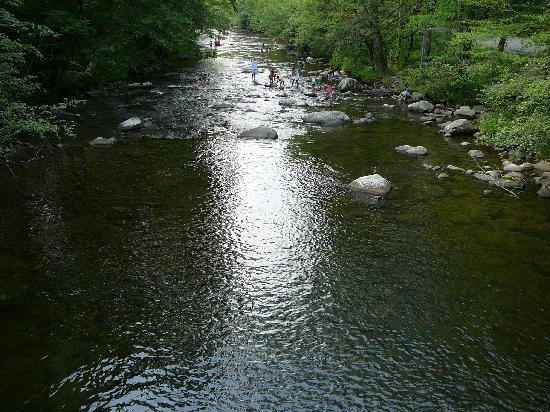 Metcalf Bottoms Swimming Area