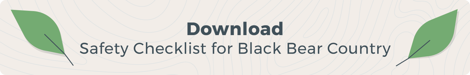Download our black bear safety checklist.