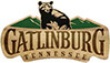 Gatlinburg, TN Cabin Rentals | Elk Springs Resort
