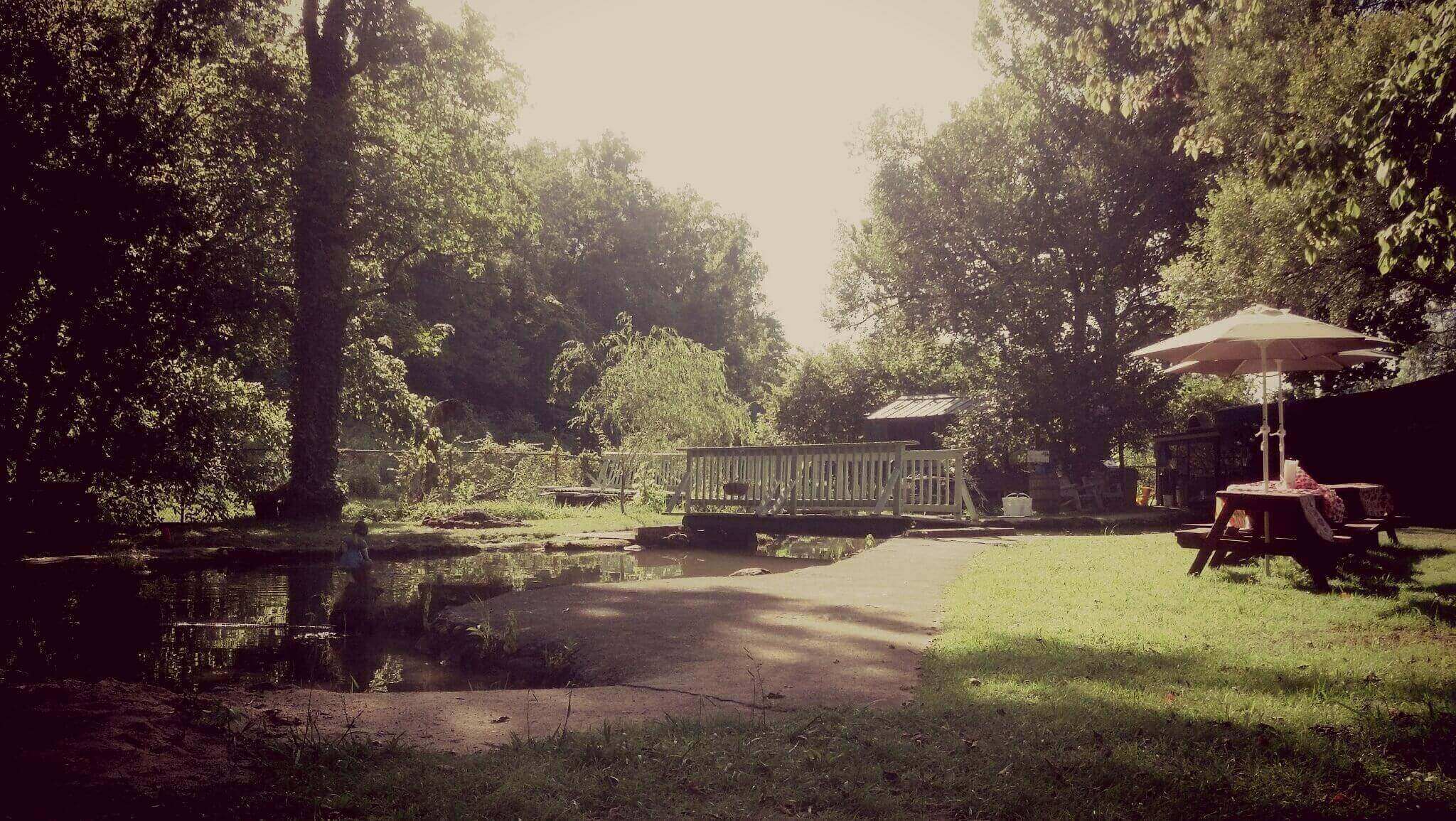 Gatlinburg Trout & Fly Fishing Guide Elk Springs Resort