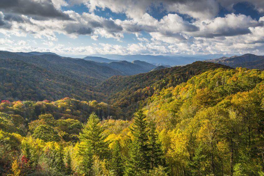 About Us Elk Springs Resort