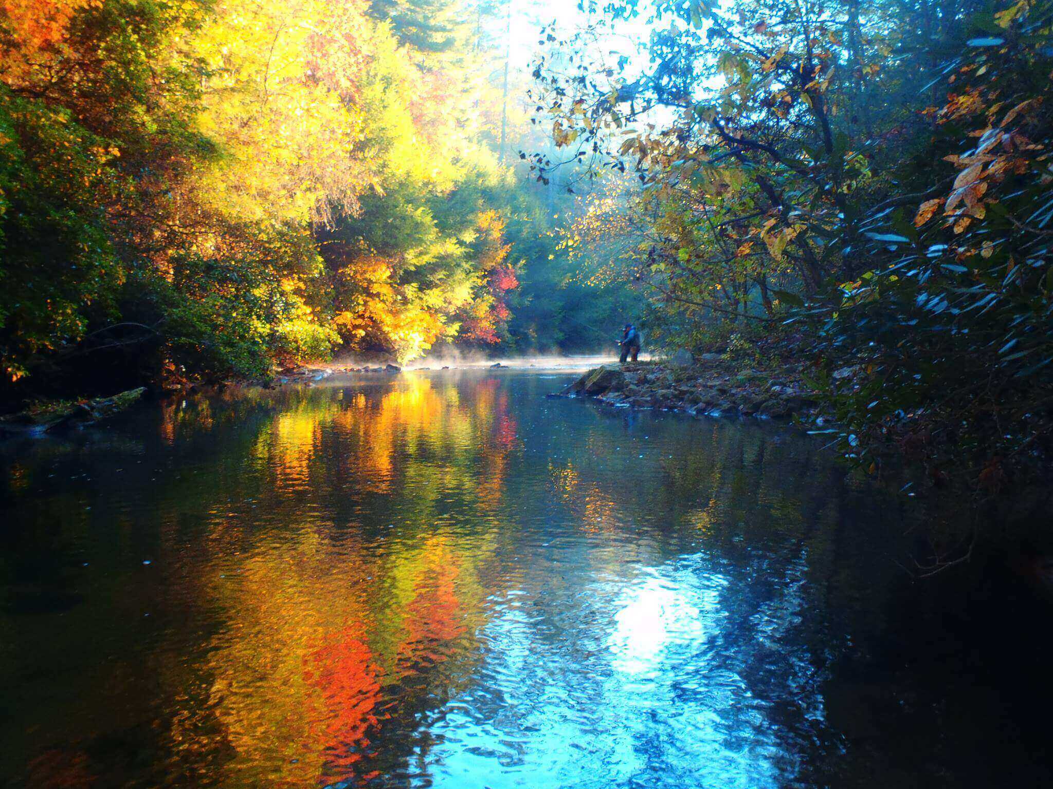 Gatlinburg Trout Fly Fishing Guide Elk Springs Resort