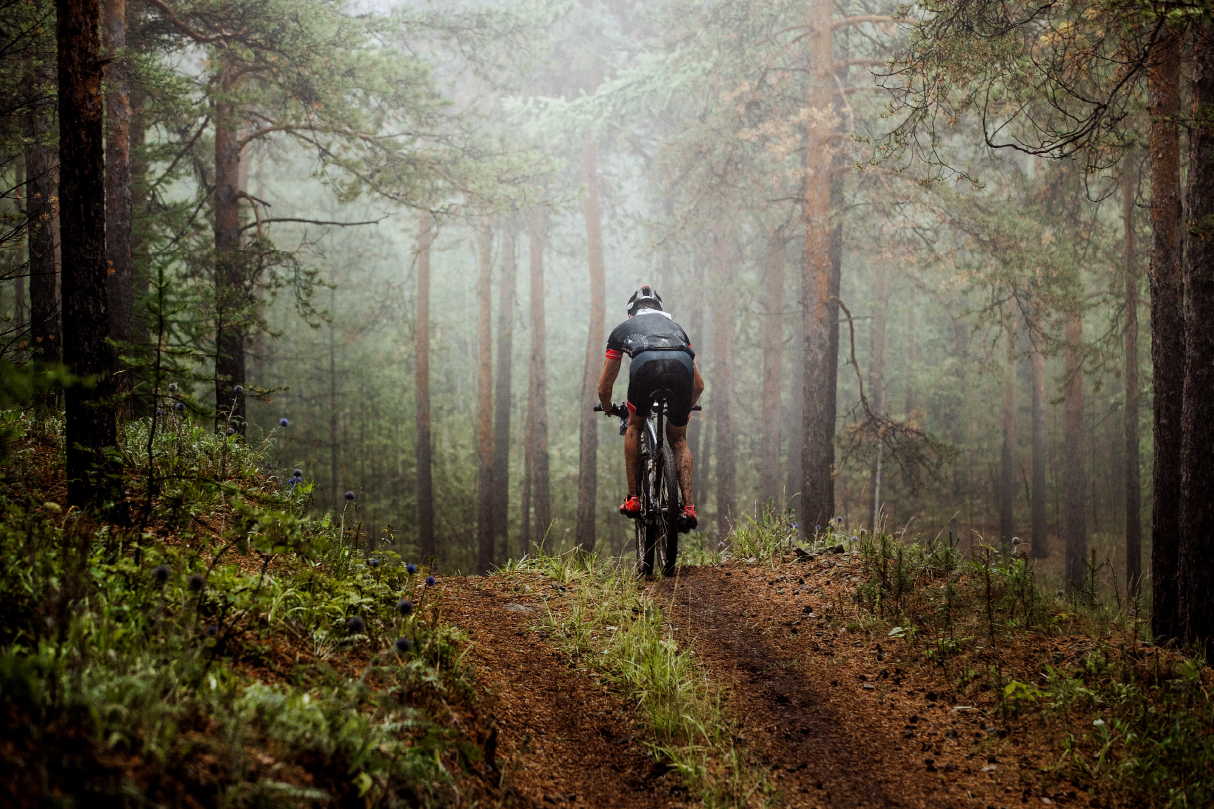 Mountain biking through the woods in the great smoky mountains national park