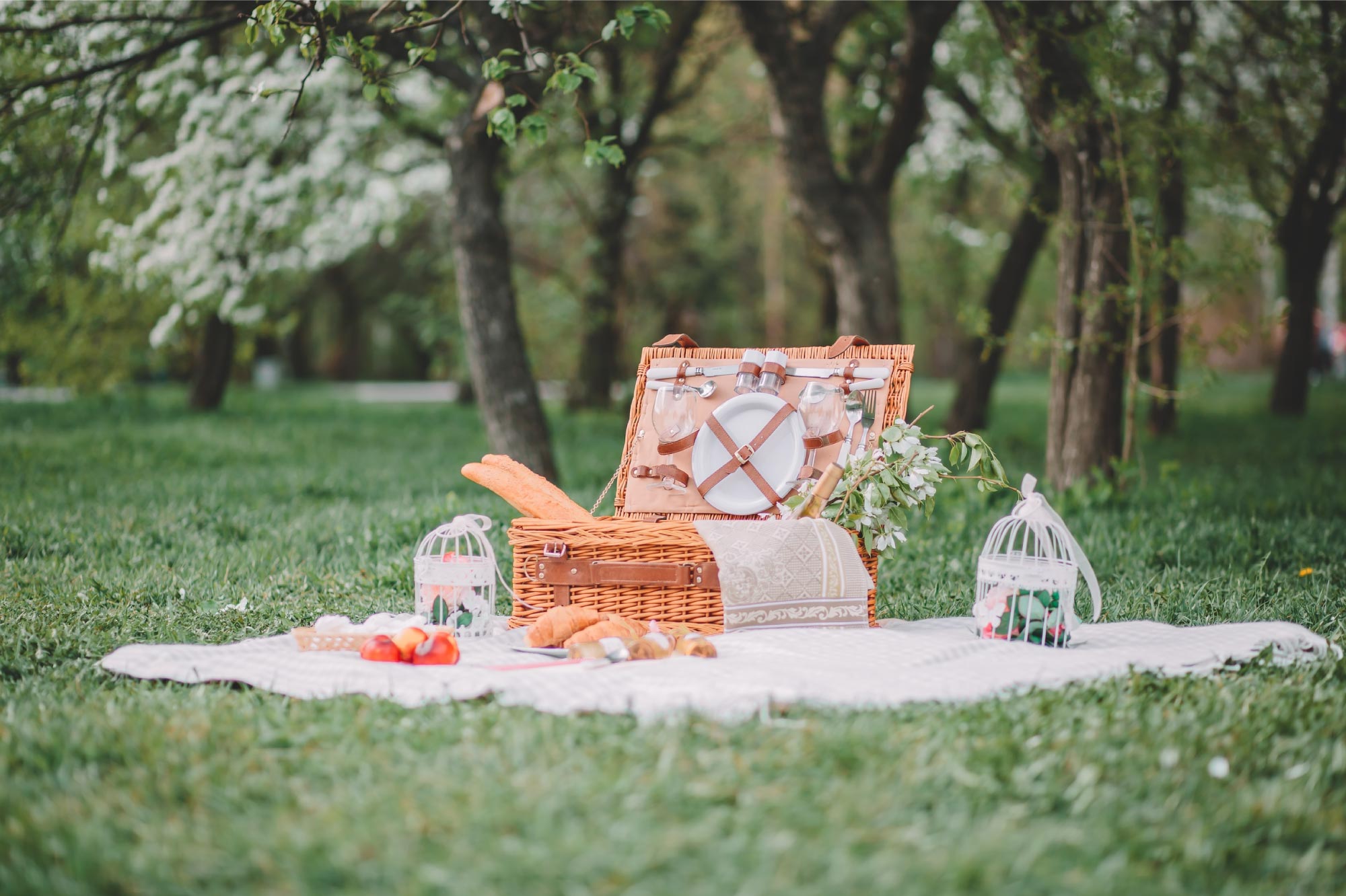 The Top 5 Best Picnic Areas in Gatlinburg