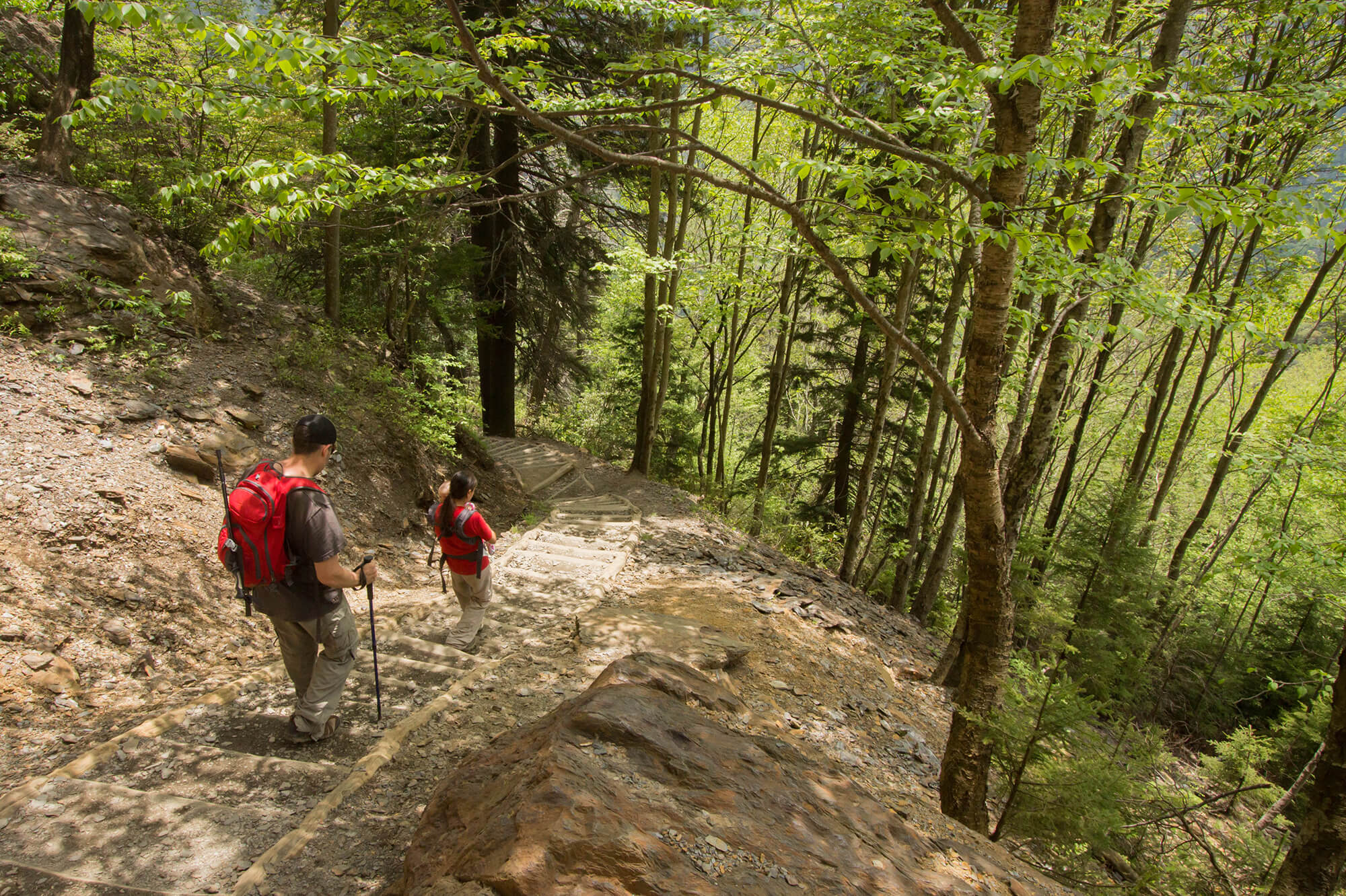 9 Gatlinburg Hiking Trails You Won’t Want To Miss in 2024