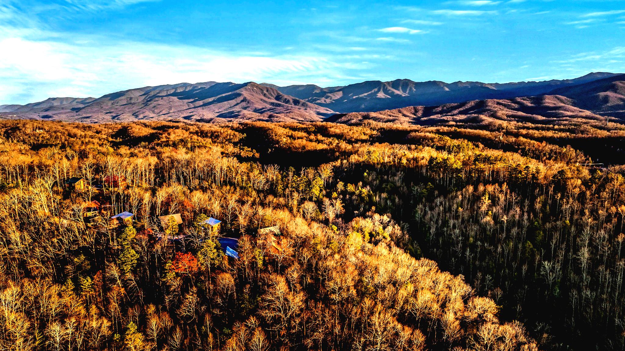 Gatlinburg Cabin Deals: Unlocking the Best Cabin Rentals and Specials